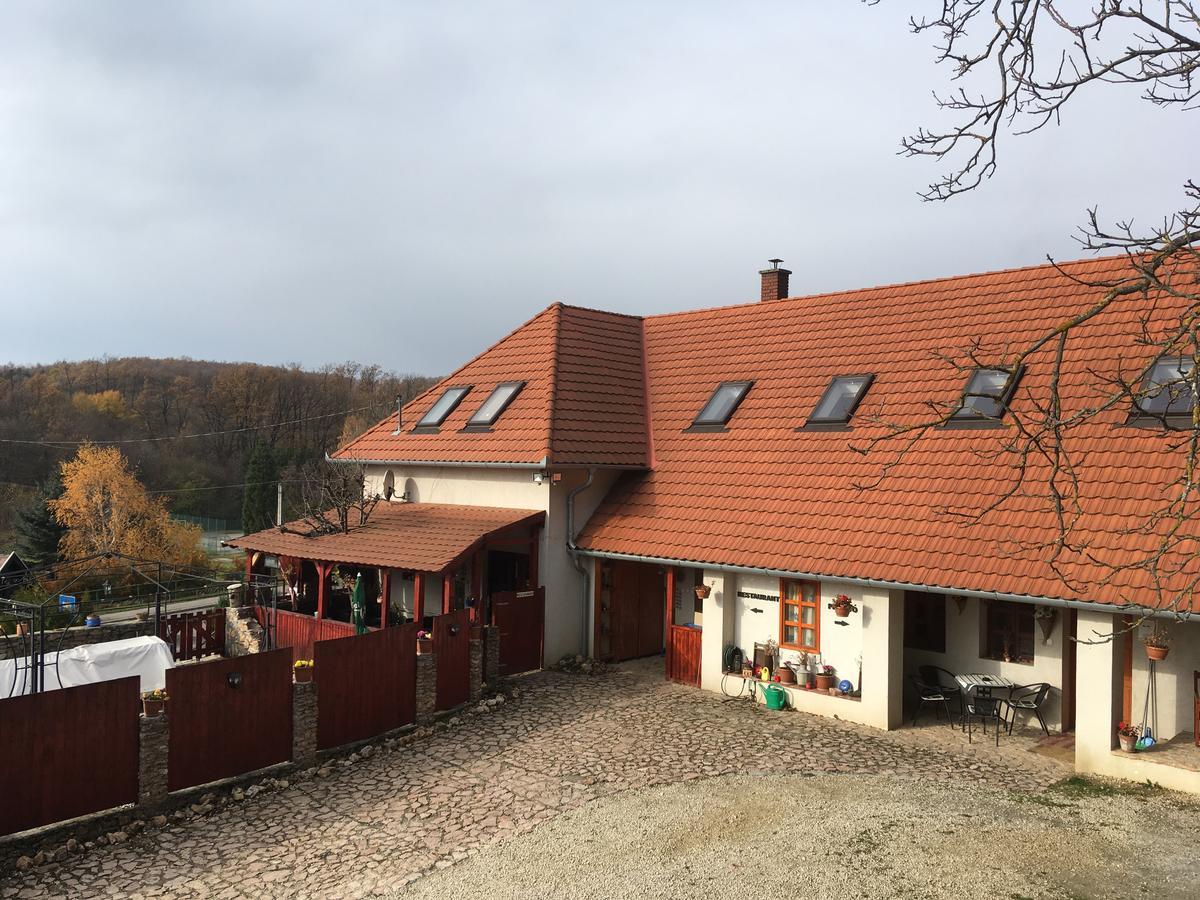 Bakonyi Apartmanhaz Eplény Buitenkant foto